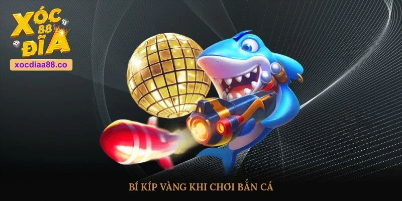 Bí kíp vàng khi chơi bắn cá