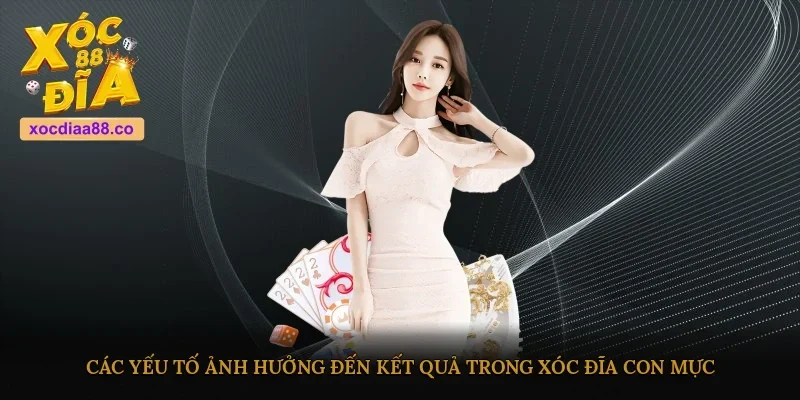 Các yếu tố ảnh hưởng đến kết quả trong xóc đĩa con mực