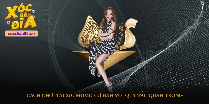 Cách chơi tài xỉu Momo cơ bản với quy tắc quan trọng