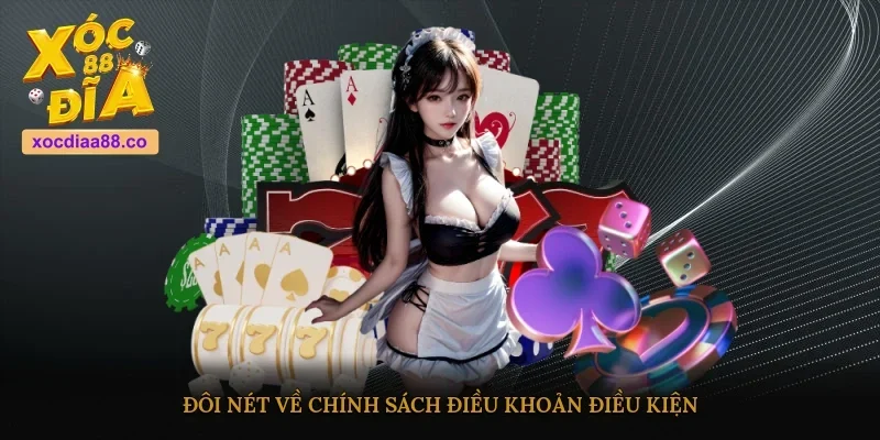 Đôi nét về chính sách điều khoản điều kiện