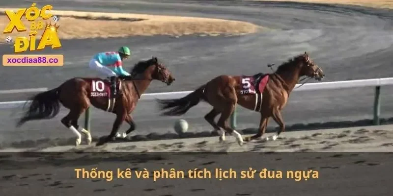 Thống kê và phân tích lịch sử đua ngựa